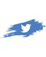 100 Twitter Followers | Grow Your Twitter Audience